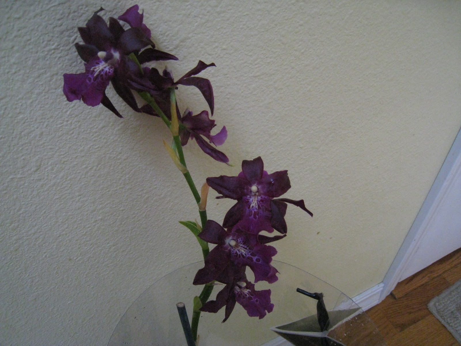 Designs by Courtney Wedding and Event Flowers Gina's flowers are here!