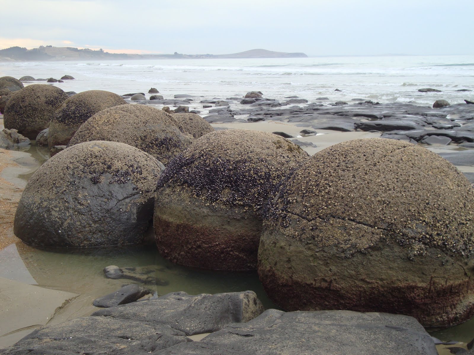 New Zealand Here We Come! Moeraki Boulders