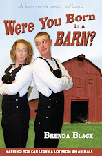 Were You Born in a Barn?