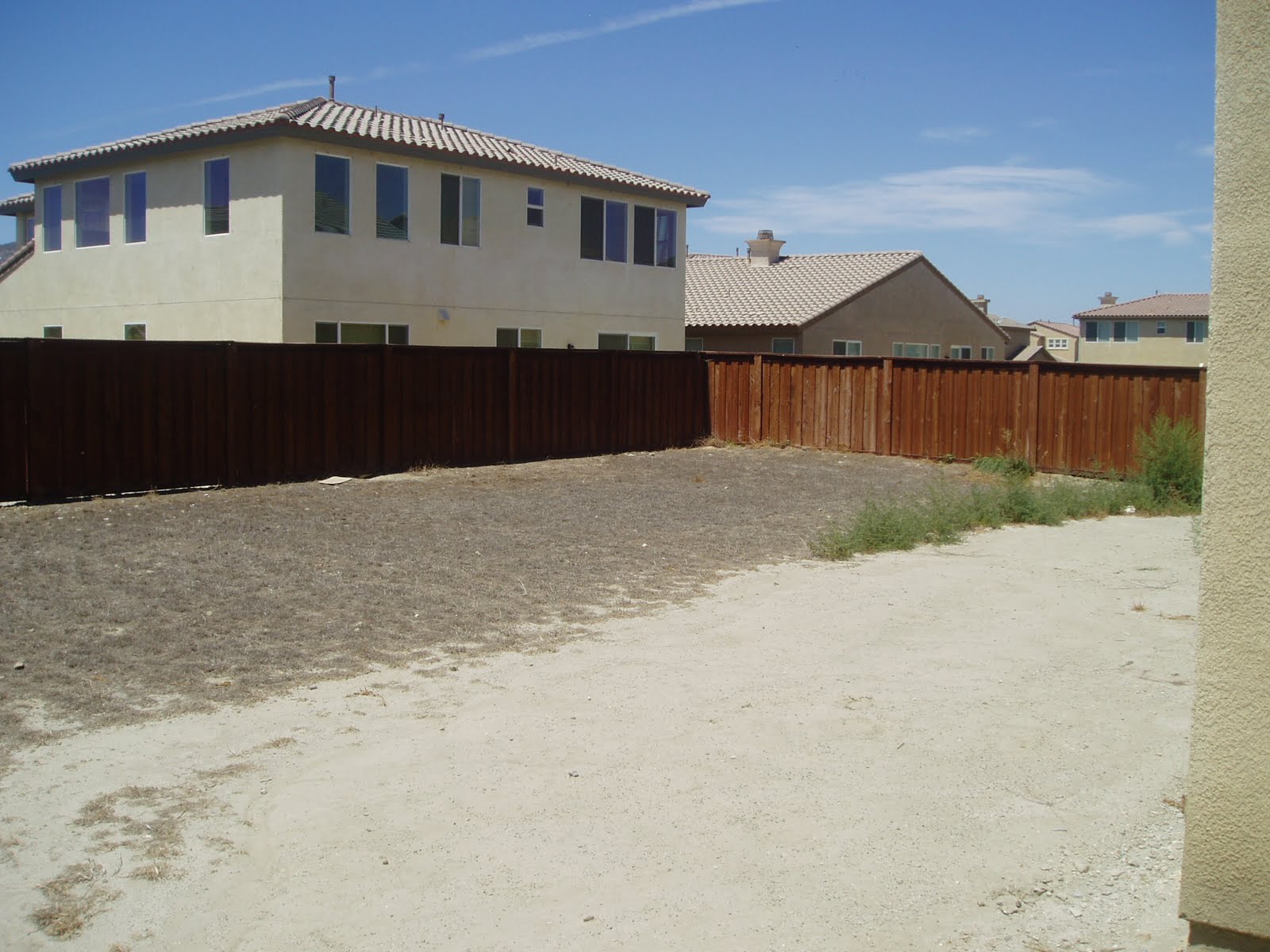 [drake+backyard.JPG]