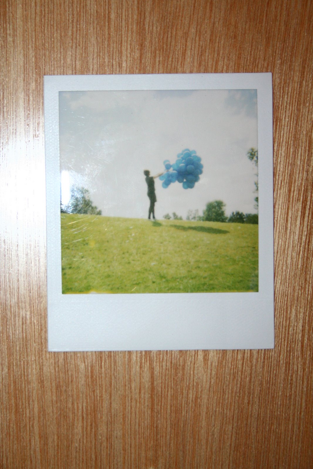 [polaroid+013.JPG]