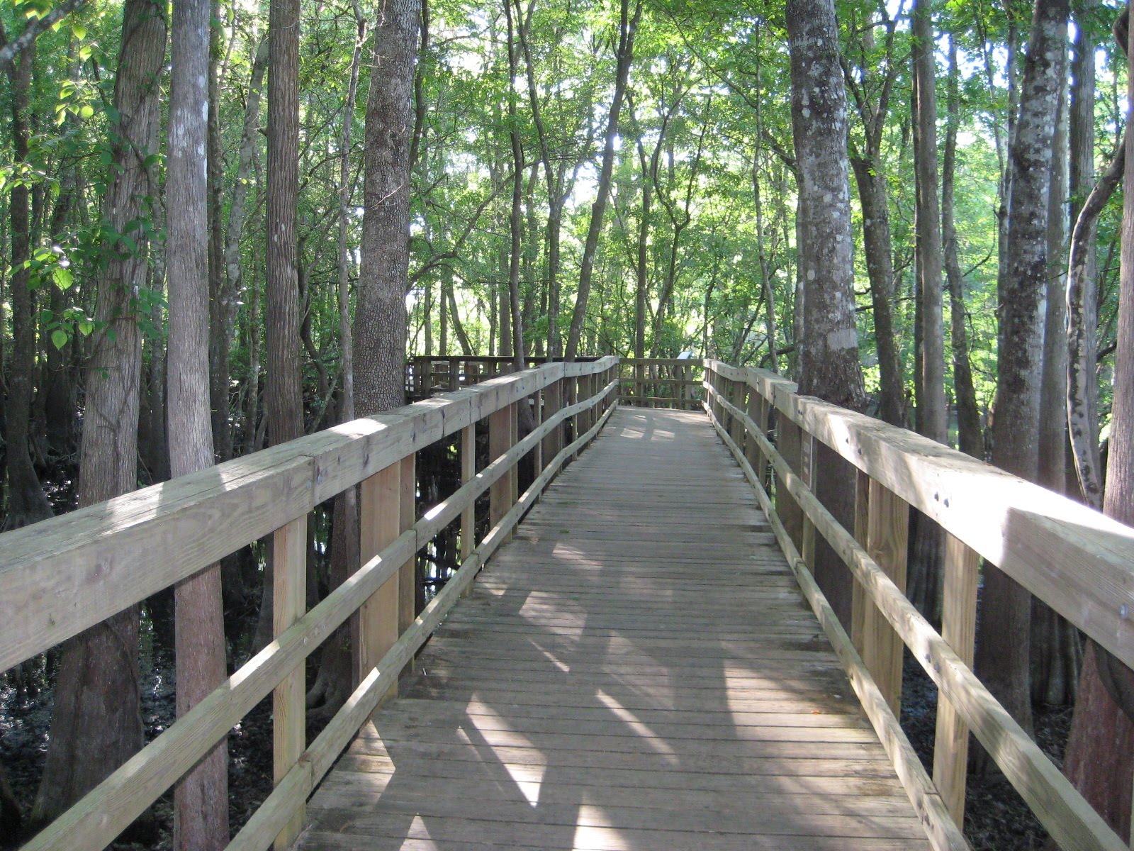 Bill and Laurie's Big Adventure: Manatee Springs State Park, Florida