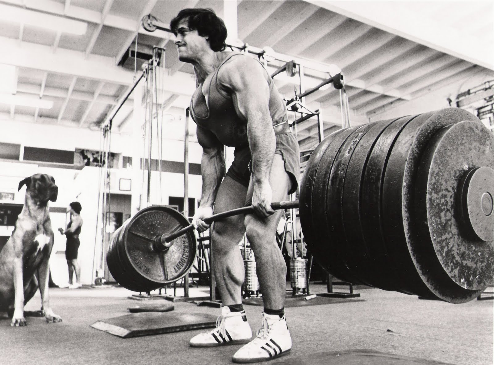 image: franco+columbu
