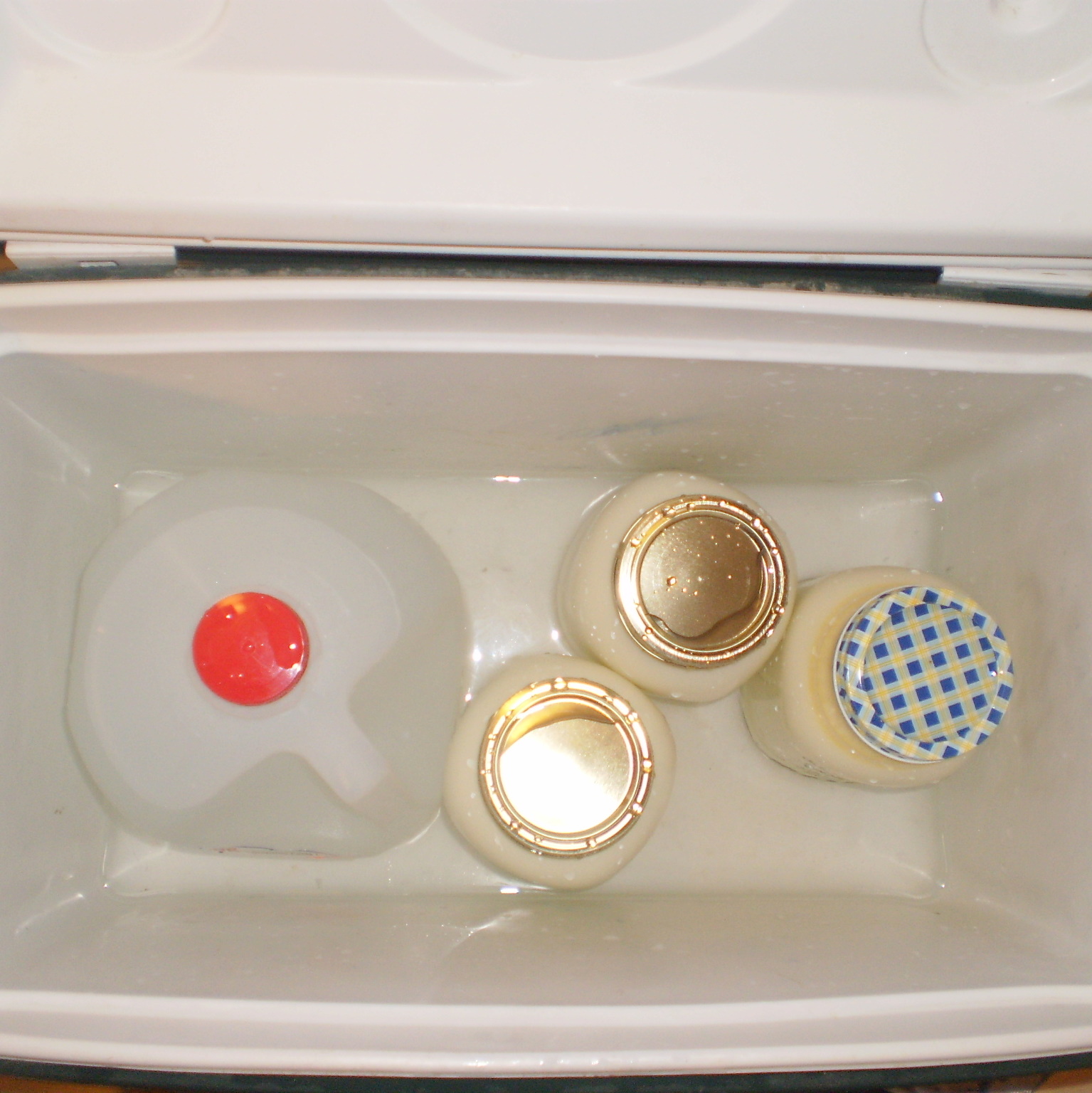 [cooler+yogurt.jpg]