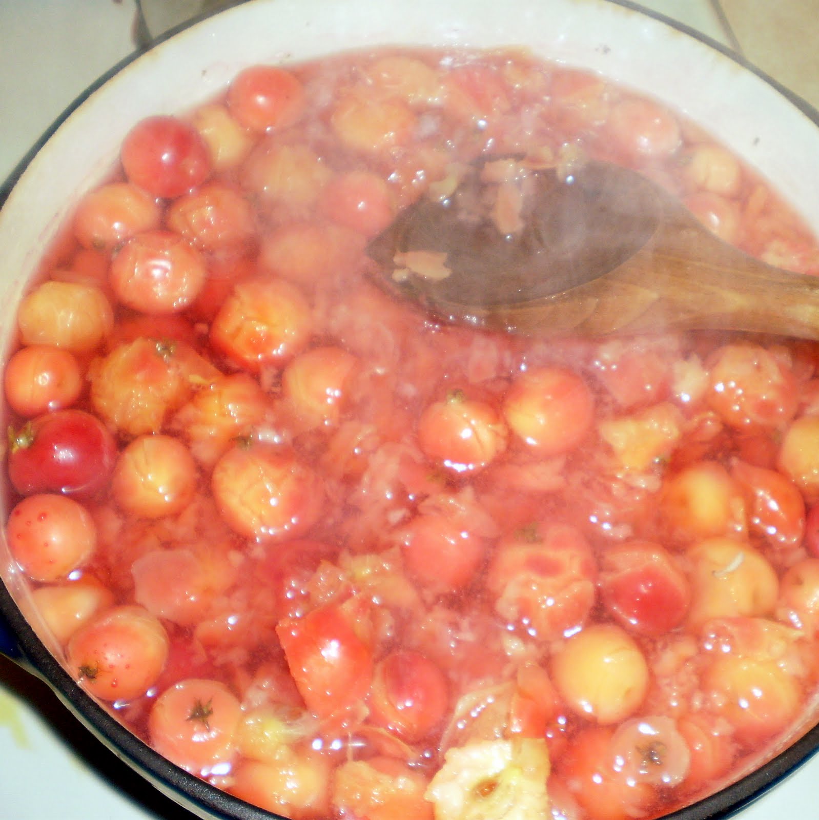 [smashed+crabapples+cooked.jpg]