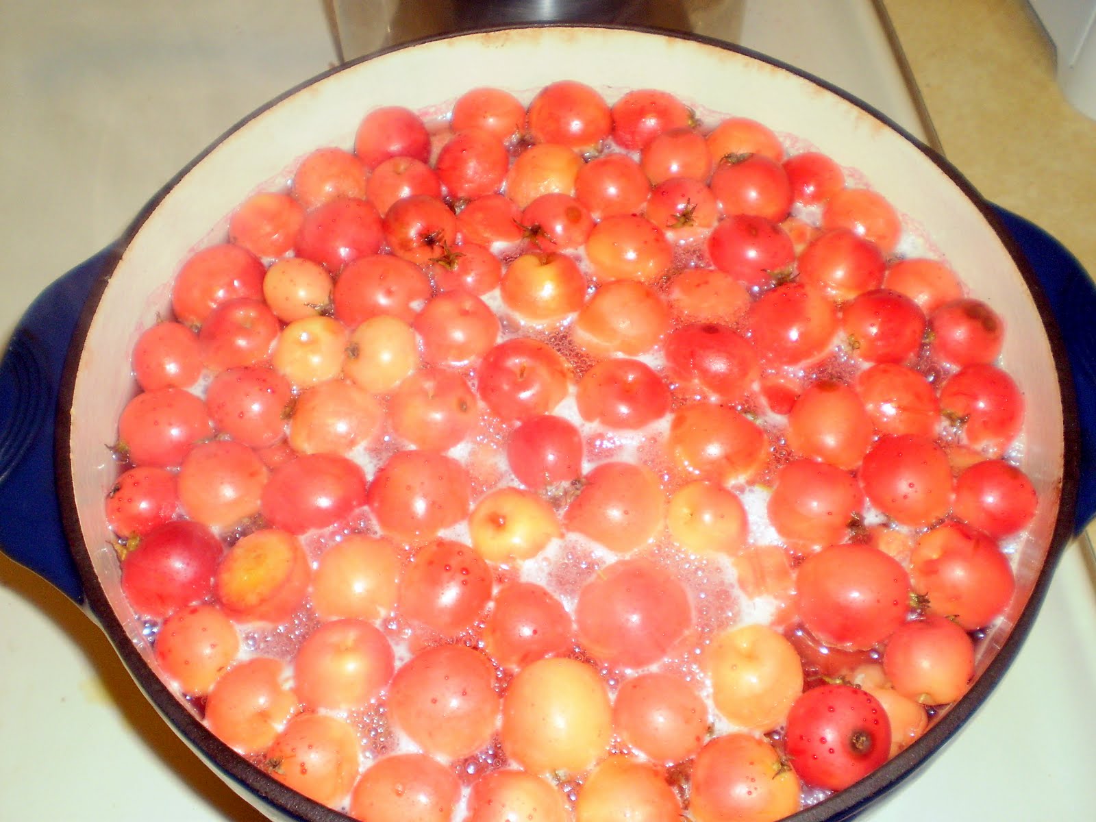 [boiled+crabapples.jpg]