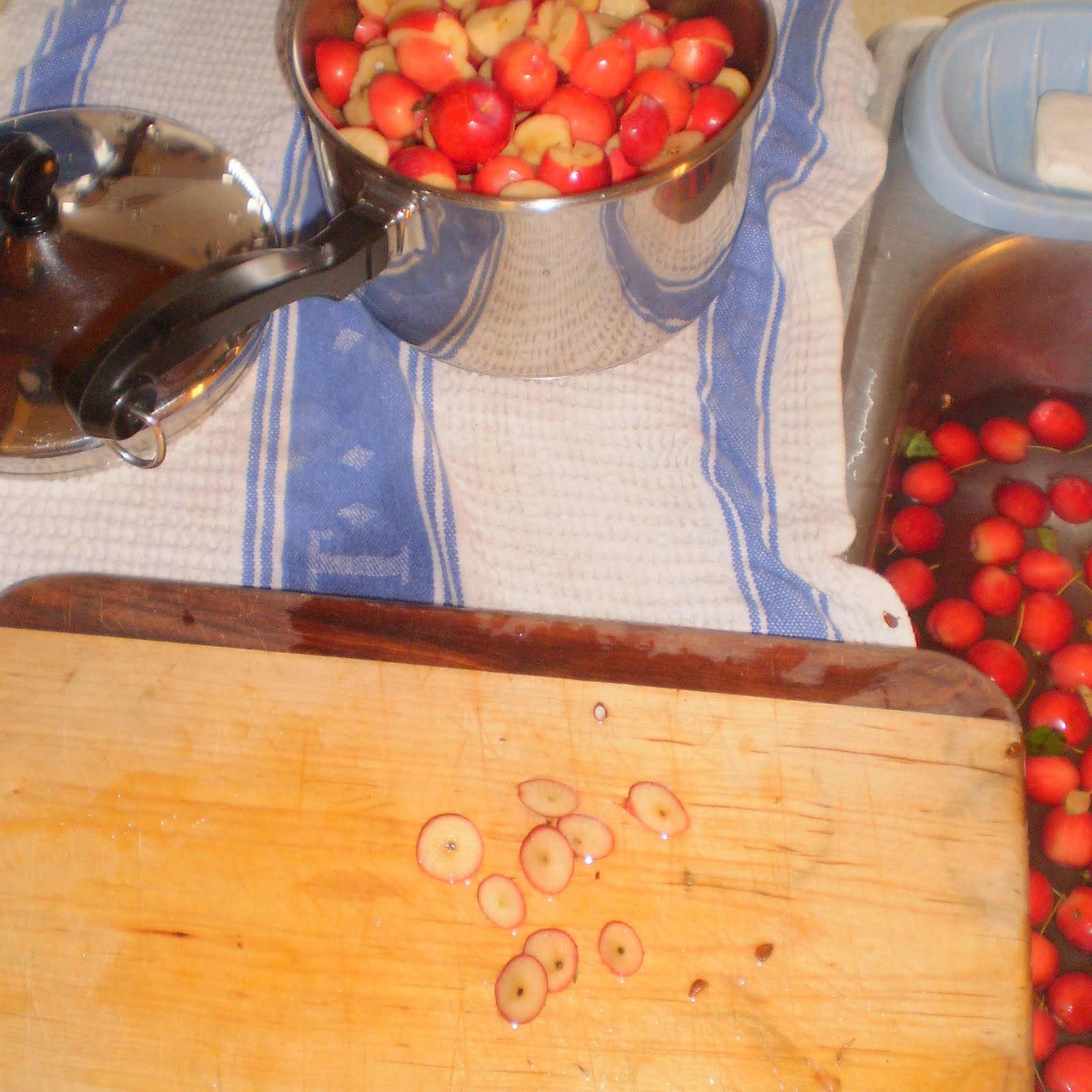 [removed+blossom+ends+crabapple.jpg]