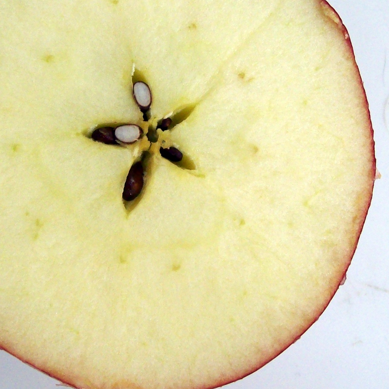[Apple+Core+Star.jpg]