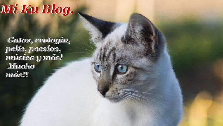 Mi Ku Blog