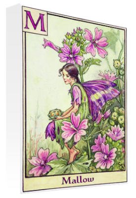 [Flower-Fairies-April---Mallow-Fairy-65266.jpg]