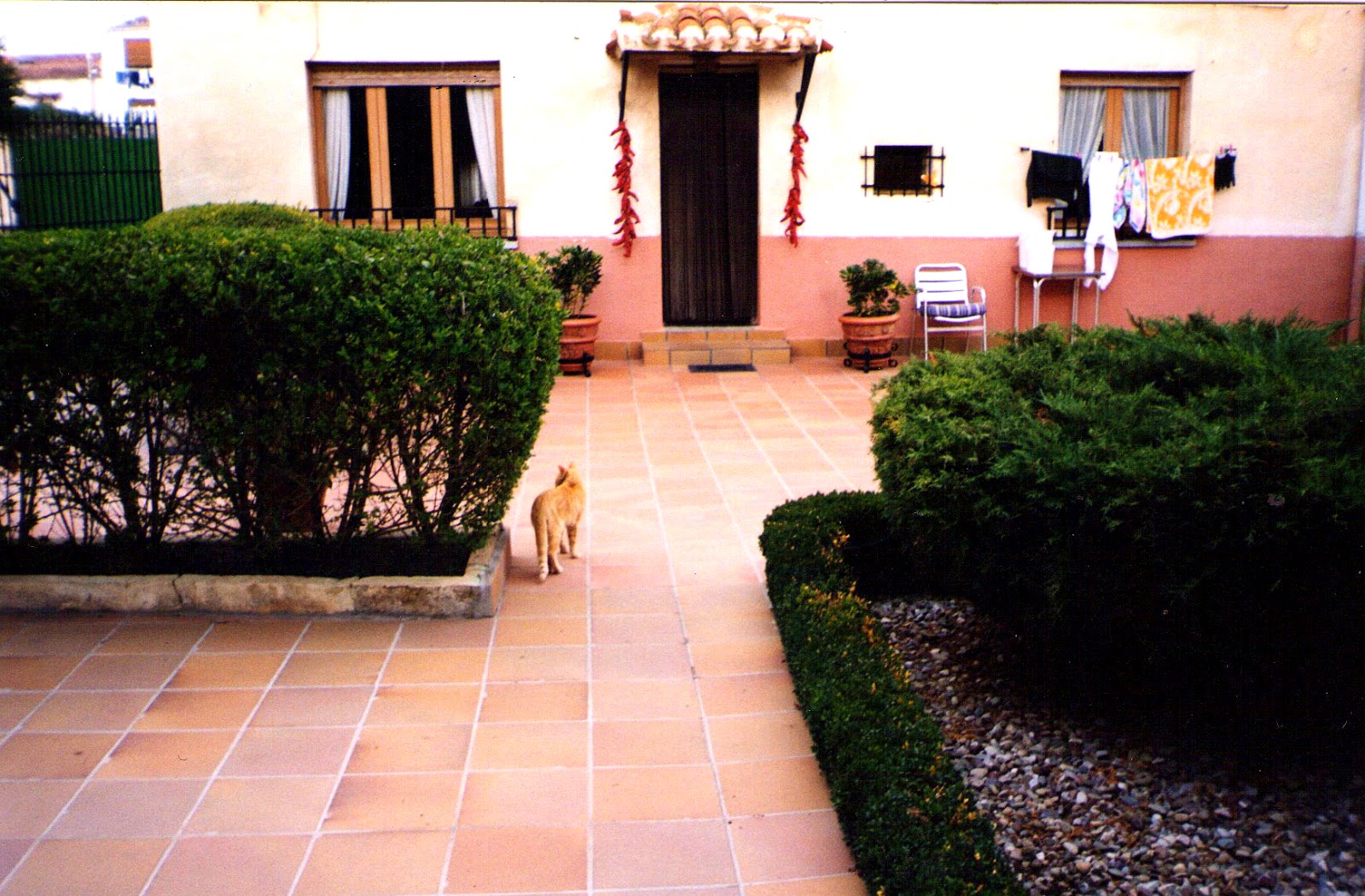VALLE CAMACHO El Patio, texto y foto Valle Camacho 2010
