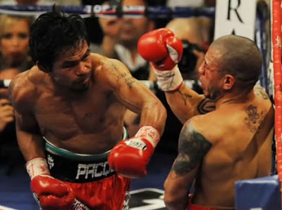 Manny Pacquiao vs Miguel Cotto Fight Video