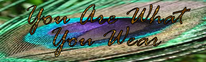 you are what you wear