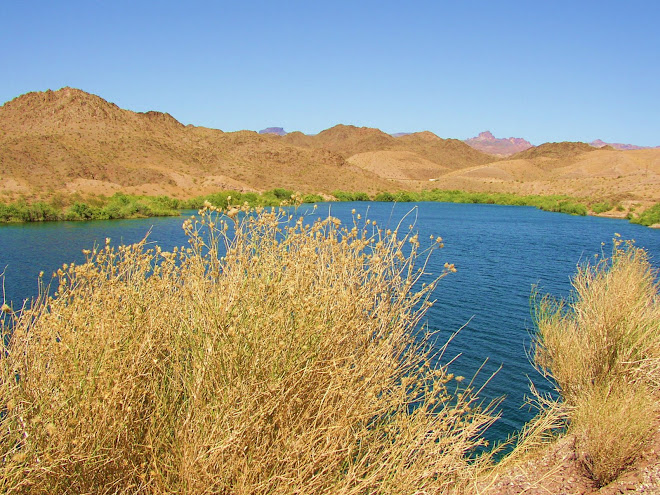 LOOKING TOWARD KINGMAN, AZ. - INLET FROM LAKE - DAVIS DAM.