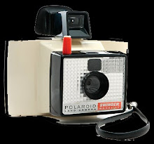 Polaroid Swinger 20
