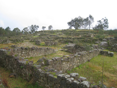 Palmilheiro Castro de Romariz (Santa Maria da Feira)