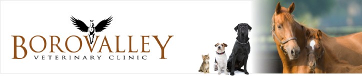 Borovalley Veterinary Clinic