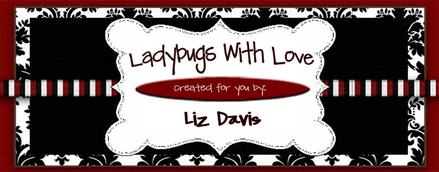 Ladybugs With Love