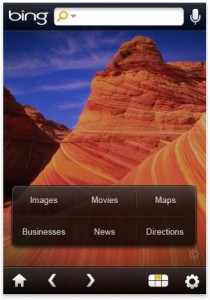 [bing12-210x300.jpg]