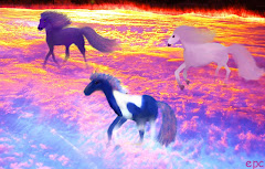 Galloping into November With Literary Abandon!