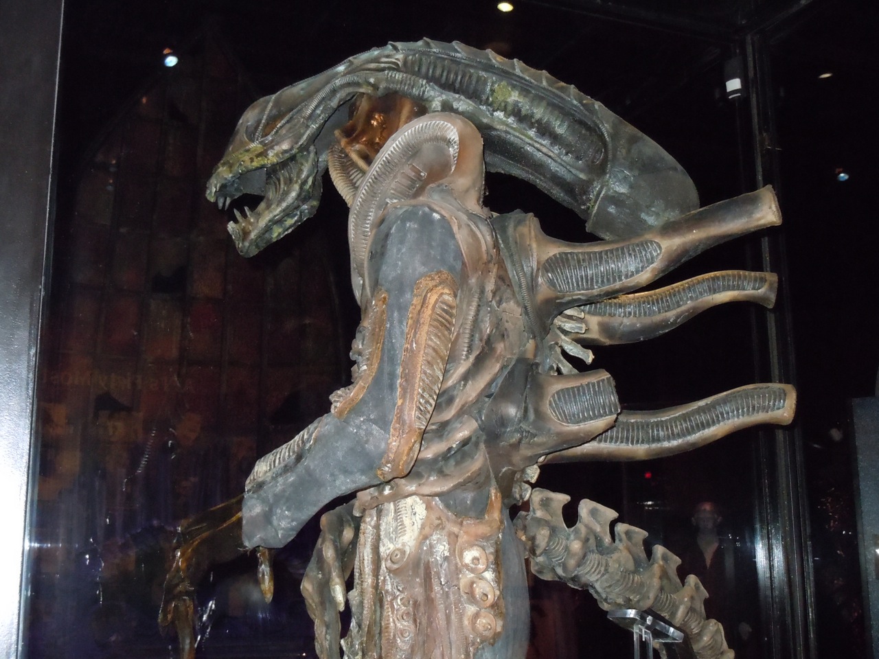 Hollywood Movie Costumes and Props: Alien movie costume from James