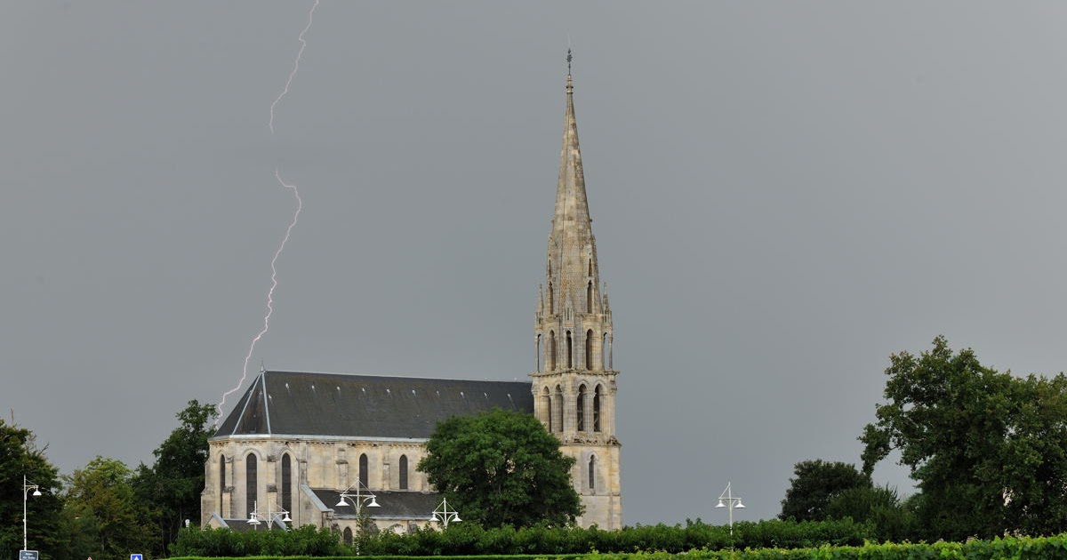 Steve rogers birding mixed up weather in bordeaux france