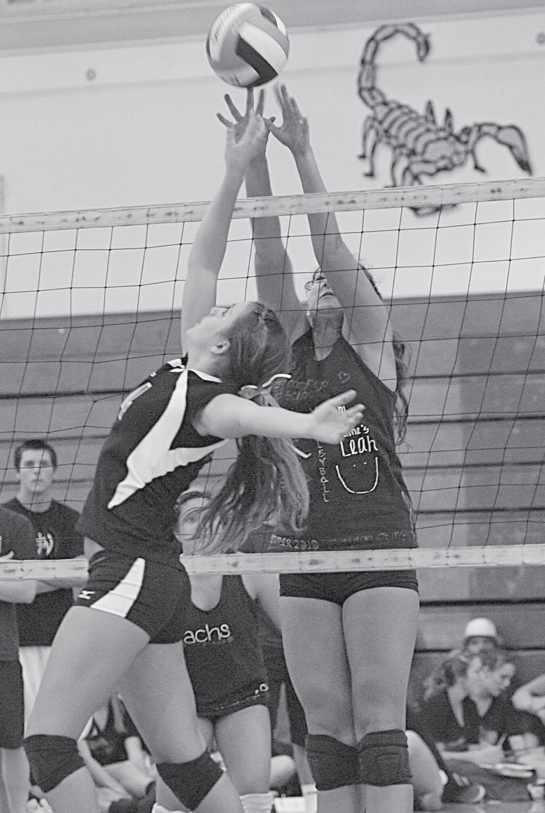 Camarillo Scorpions Volleyball Camarillo Scorpions Volleyball