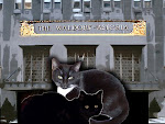 ASTOR CATS