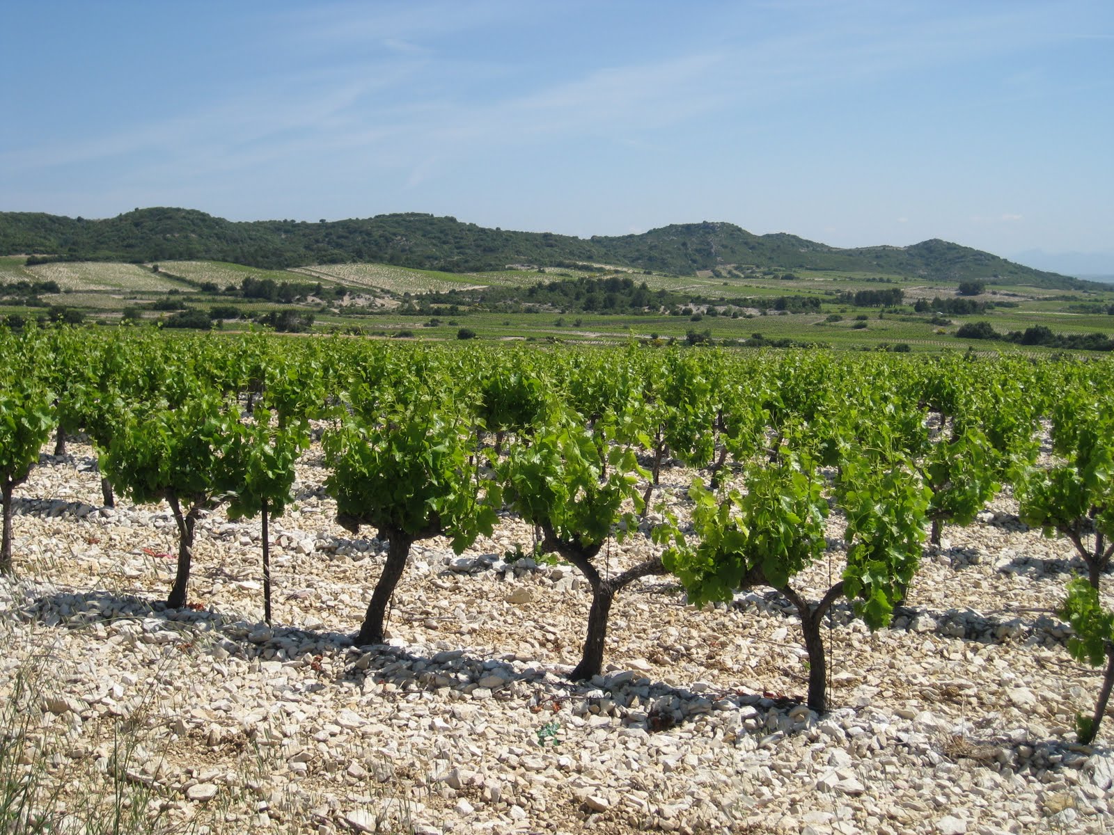 An Atlantan Eats: Provence: Light lunch in Chateau Neuf du Pape