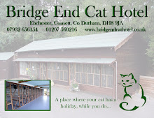 Bridge End Cat Hotel