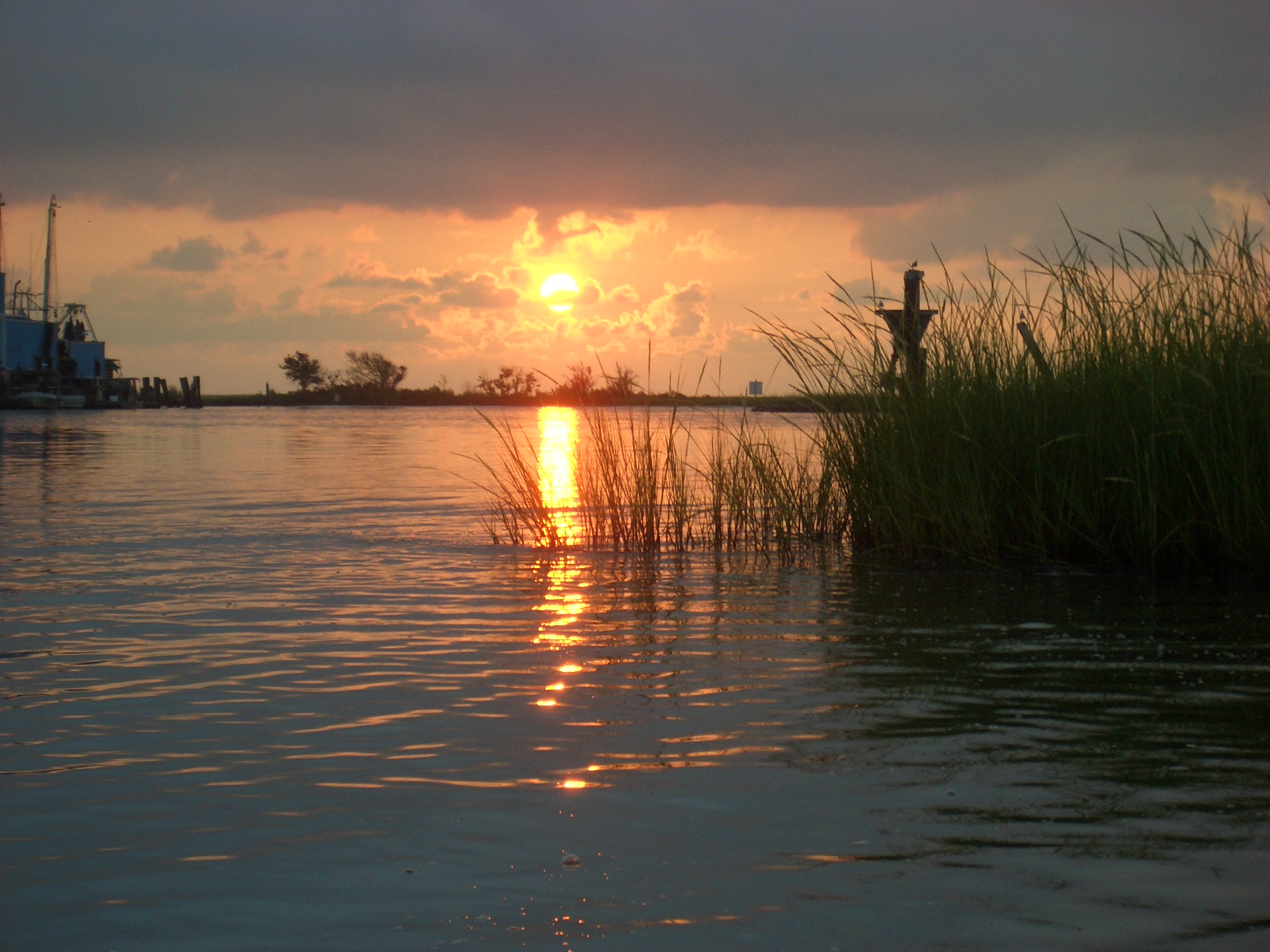 Artwork by Crystal NolfoBrown Kayaking in Cocodrie, Louisiana