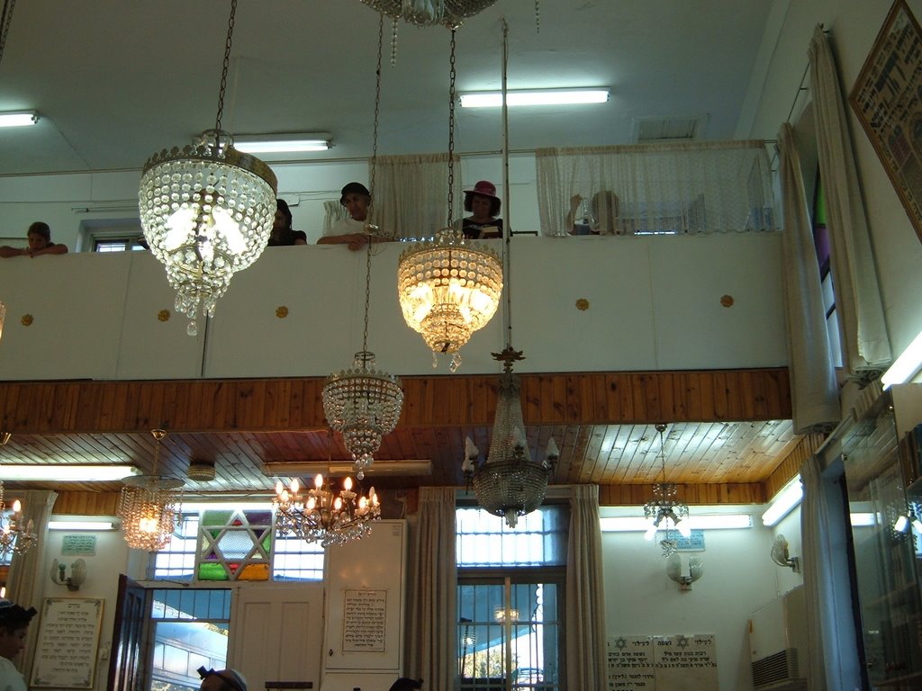 [dscf2335.jpg]