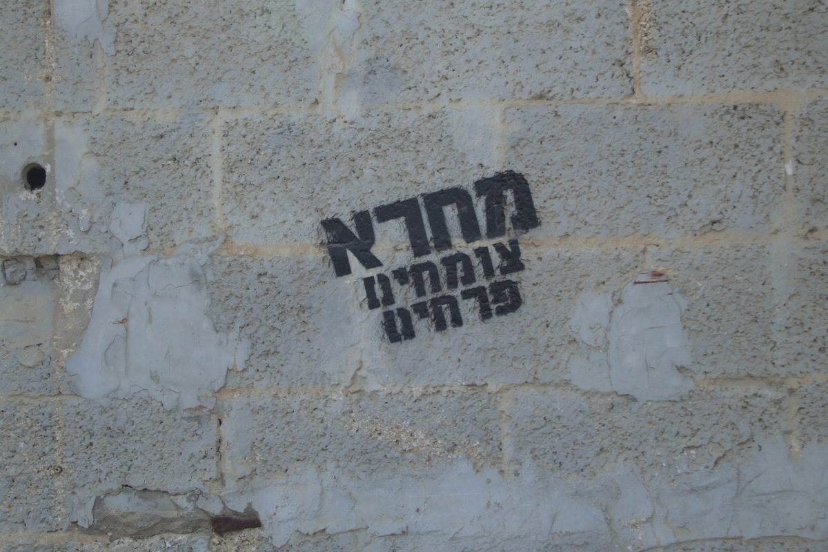 [dscf6283-1.jpg]