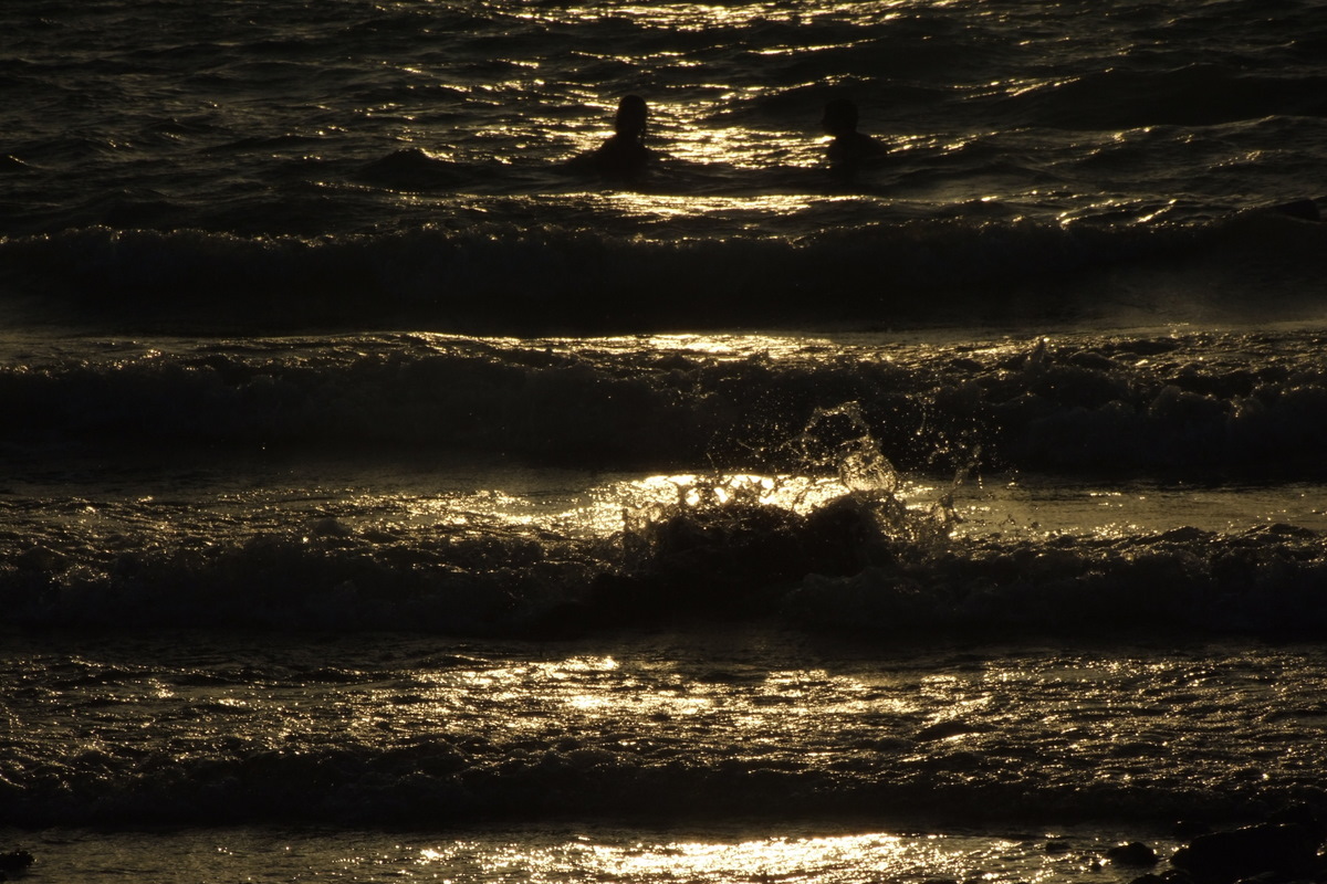 [dscf5900-1.jpg]