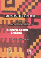 MIRADA DE CONDOR