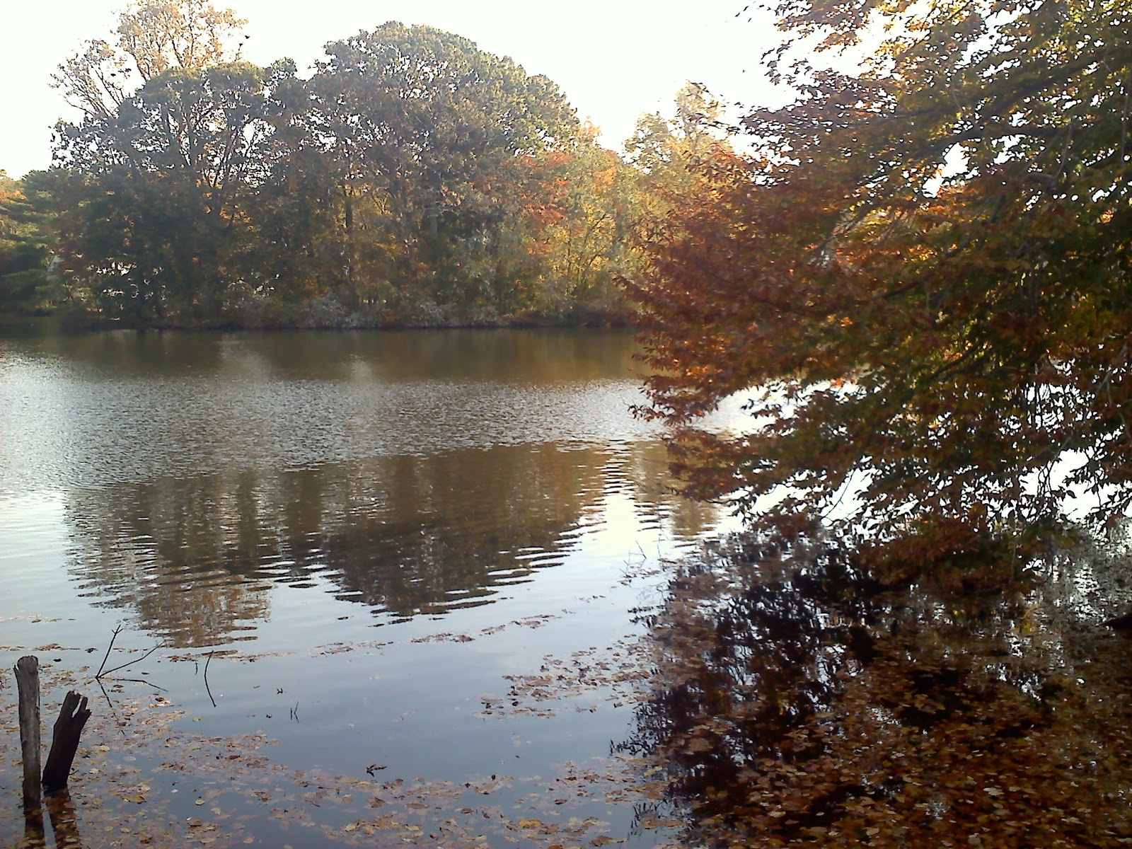 Homemade on Long Island Avalon Park and Preserve