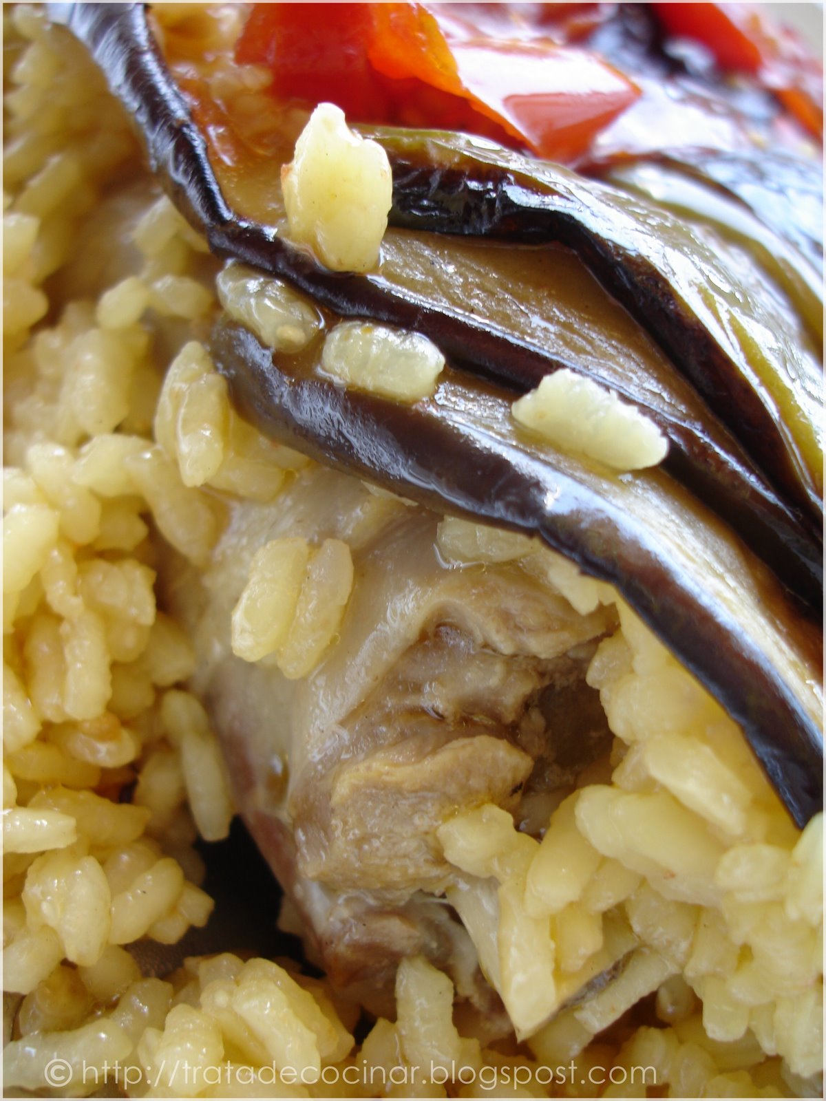 [Arroz+hemc.jpg]