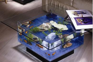 [Coffee+Table+Fish+Tank.jpg]