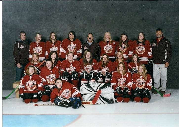 North Iowa Ice Breakers North Iowa Ice Breakers