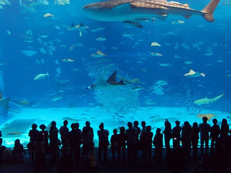 Best Restaurants In Manila Ocean Park Best Restaurants In Manila Ocean Park