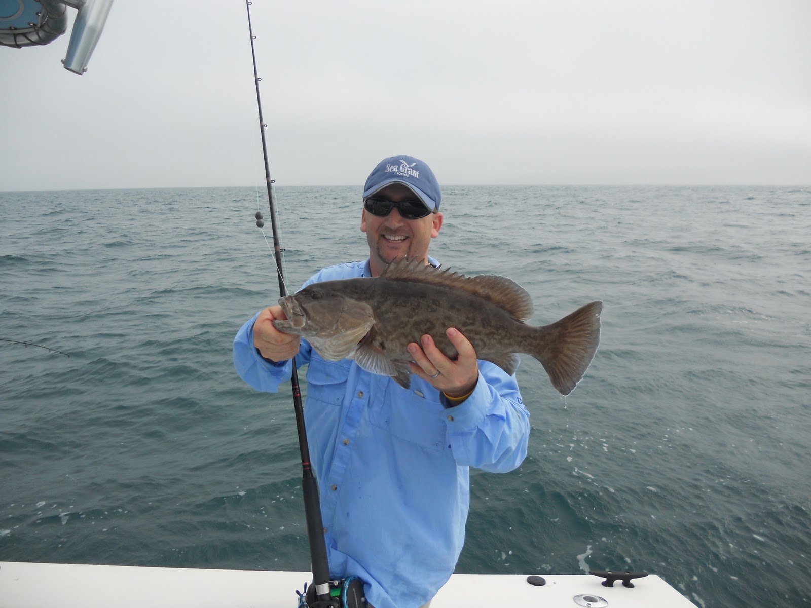 catching gag grouper catching gag grouper