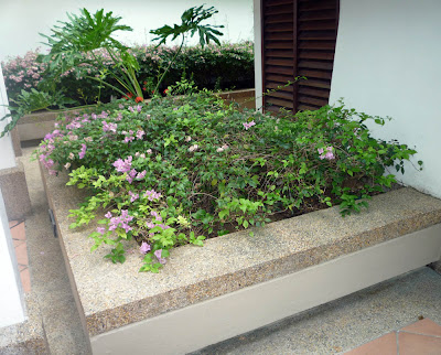 DIY Building and outdoor buildings