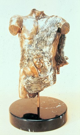 [torso_frontview.by+Ione+Citrin.jpg]