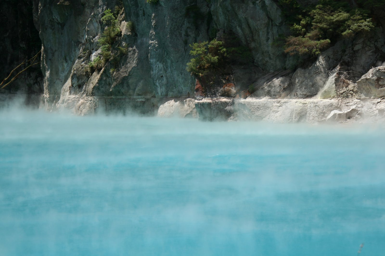 [IMG_6368.jpg]