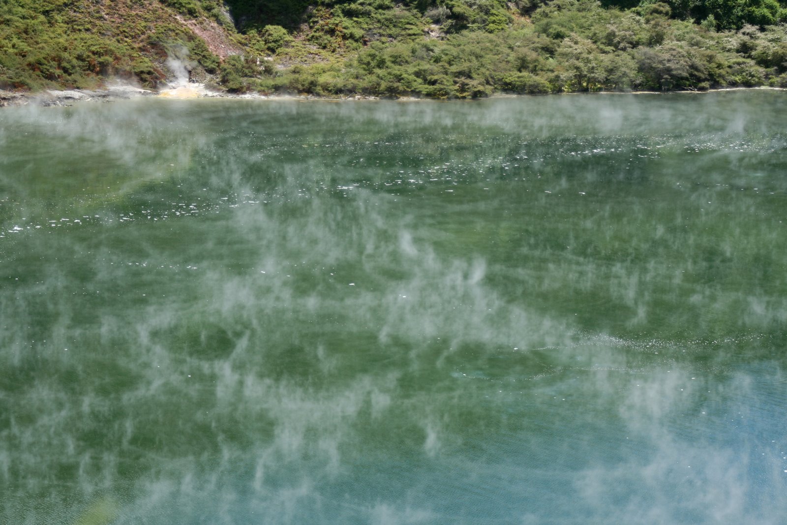 [IMG_6346.jpg]