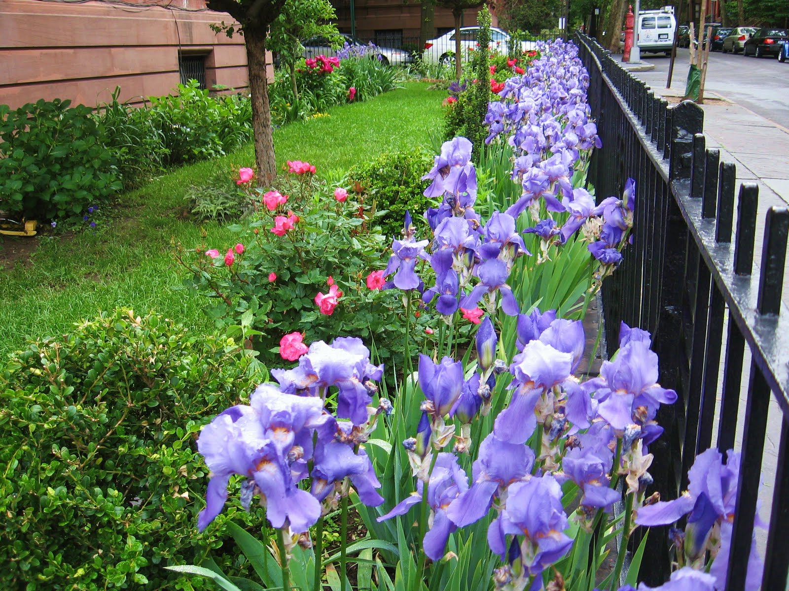 mcbrooklyn Flowers, Remsen Street, Brooklyn Heights