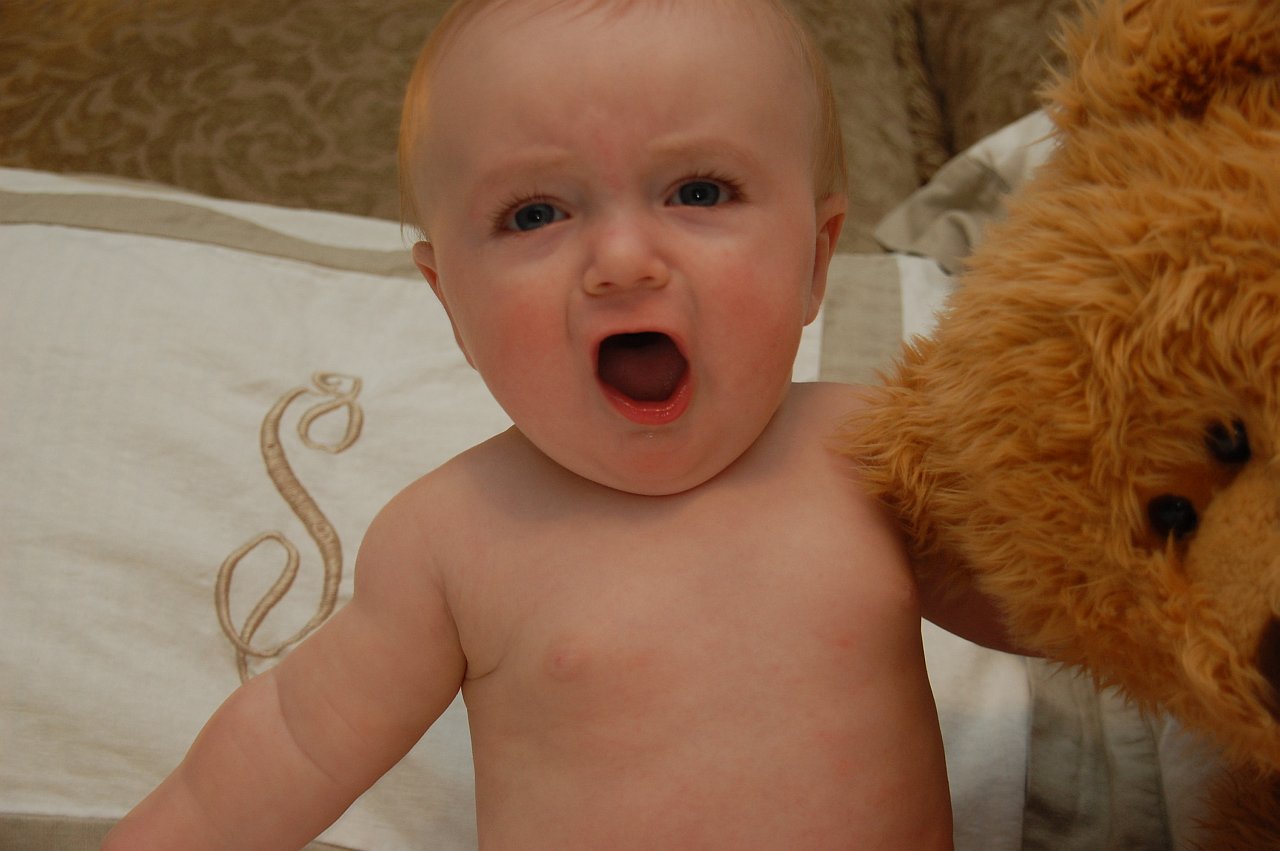 The Stabler Project 6 Months Old the-stabler-project-6-months-old