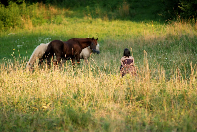 Never a dull moment..