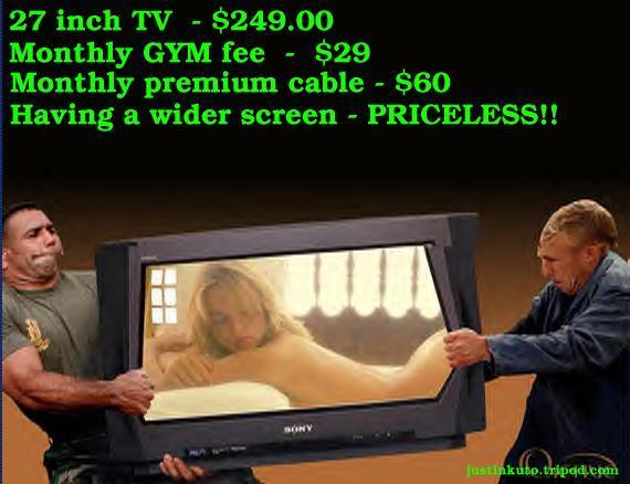 [27-inch-TV-screen-priceless-Mastercard-parody.jpg]