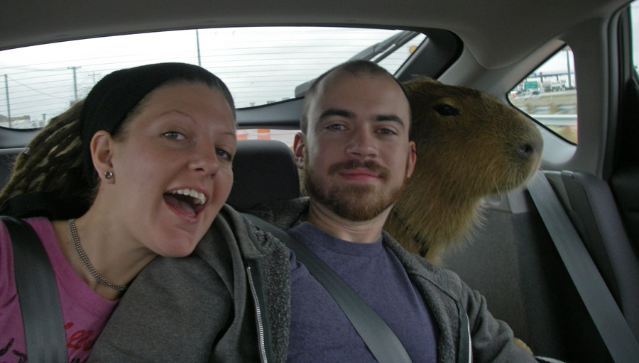 [2009_02_27_01_sCaplinCoralCarlCar.jpg]
